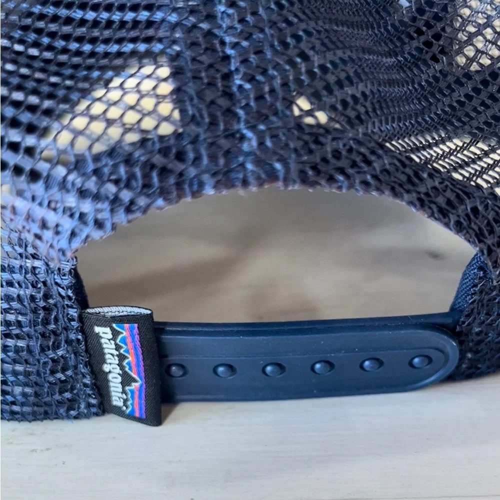 Patagonia Men’s Fitz Roy Scope LoPro Trucker Hat